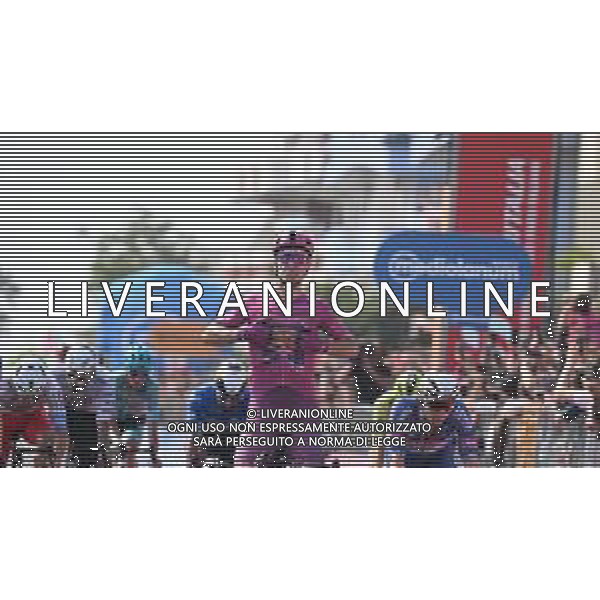 15-05-2024 Giro D\'italia; Tappa 11 Foiano Di Val Fortore - Francavilla Al Mare; 2024, Lidl - Trek; Milan, Jonathan; Francavilla Al Mare; ©SIROTTI / AGENZIA ALDO LIVERANI SAS