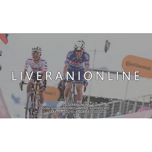 19-05-2024 Giro D\'italia; Tappa 15 Manerba Del Garda - Mottolino Di Livigno; 2024, Alpecin - Deceuninck; 2024, Uae Team Emirates; Conci, Nicola; Majka, Rafal; Mottolino Di Livigno; ©SIROTTI / AGENZIA ALDO LIVERANI SAS
