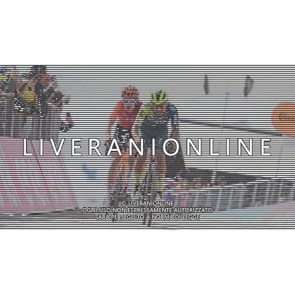 19-05-2024 Giro D\'italia; Tappa 15 Manerba Del Garda - Mottolino Di Livigno; 2024, Bora - Hansgrohe; 2024, Ineos Grenadiers; Martinez Poveda, Daniel Felipe; Geraint, Thomas; Mottolino Di Livigno; ©SIROTTI / AGENZIA ALDO LIVERANI SAS