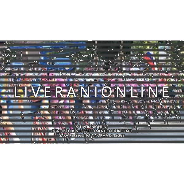 26-05-2024 Giro D\'italia; Tappa 21 Roma - Roma; 2024, Lidl - Trek; Milan, Jonathan; Consonni, Simone; Roma; ©SIROTTI / AGENZIA ALDO LIVERANI SAS
