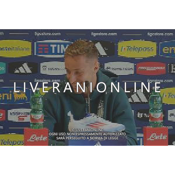 TVEM Davide Frattesi of Italy during press conference at casa azzurri media center in Iserlohn, Germany on 17 June 2024. Photo by Emmanuele Mastrodonato/ag. Aldo Liverani sas