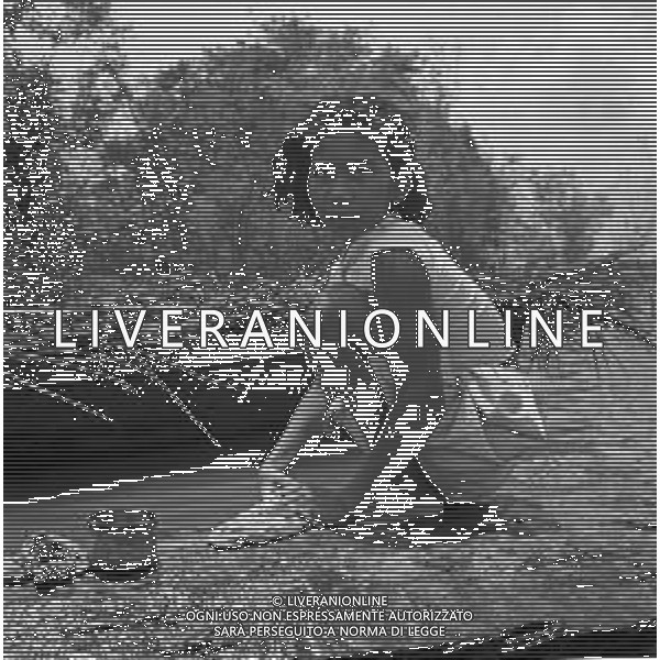 NEG-1950 BRASILE MANAUS AG ALDO LIVERANI SAS