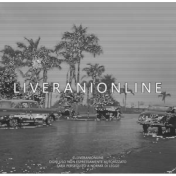 NEG-1950 BRASILE MANAUS AG ALDO LIVERANI SAS