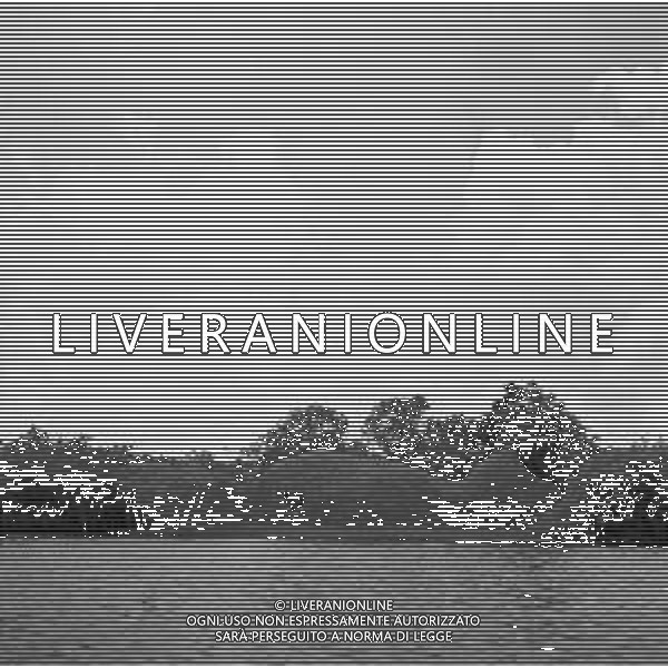 NEG-1950 BRASILE MANAUS AG ALDO LIVERANI SAS