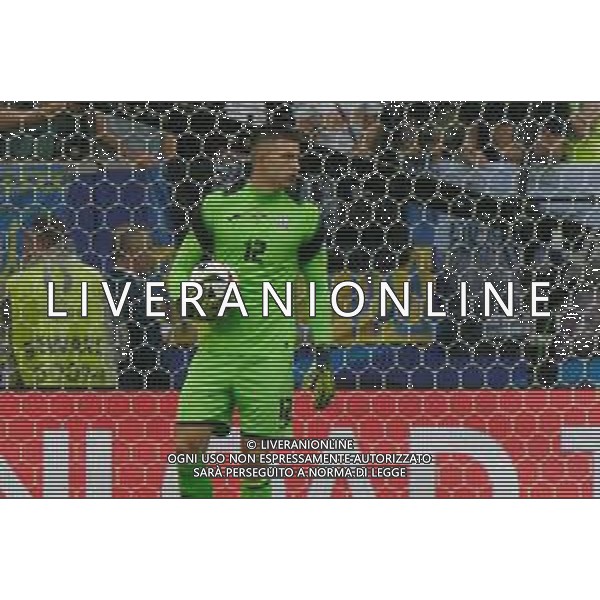 TVEM Anatoliy Trubin of Ukraine during the UEFA EURO 2024 group stage match between Slovakia and Ukraine at Dusseldorf Arena on June 21, 2024 in Dusseldorf, Germany. Photo by Emmanuele Mastrodonato/ag. Aldo Liverani sas/AGENZIA ALDO LIVERANI SAS