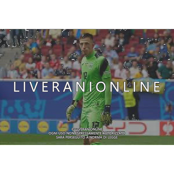 TVEM Anatoliy Trubin of Ukraine during the UEFA EURO 2024 group stage match between Slovakia and Ukraine at Dusseldorf Arena on June 21, 2024 in Dusseldorf, Germany. Photo by Emmanuele Mastrodonato/ag. Aldo Liverani sas/AGENZIA ALDO LIVERANI SAS