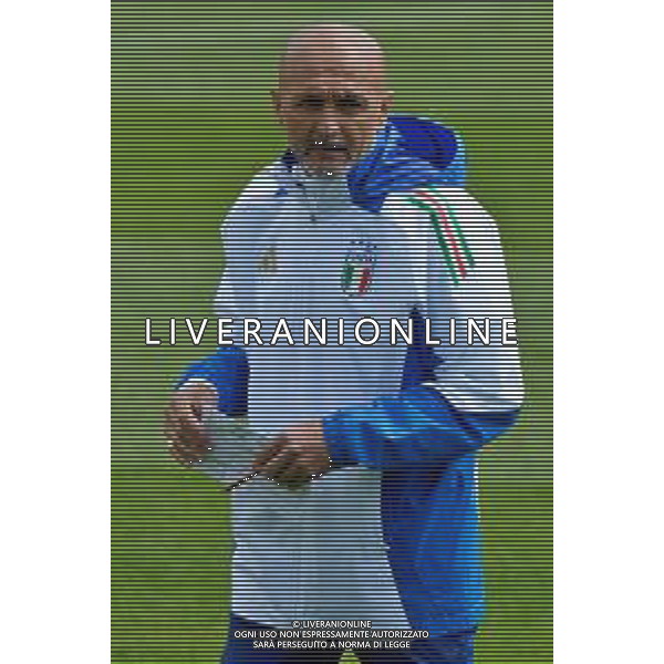 TVEM Luciano Spalletti head coach of Italy during the training session at the team\'s base camp in Iserlohn, Germany on 23 June 2024, ahead of the second UEFA Euro 2024 football match. Photo by Emmanuele Mastrodonato/ag. Aldo Liverani sas