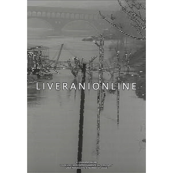NEG-IL FIUME TIICINO IN PIENA NELL\'ANNO 1990 AG ALDO LIVERANII SAS
