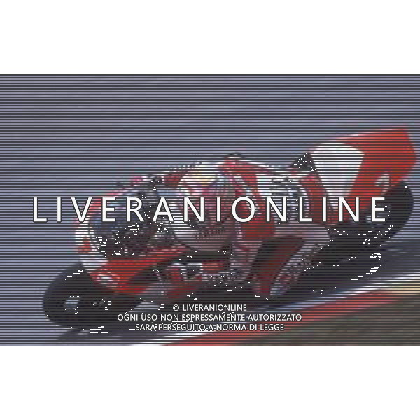 DIAP-RETROSPETTIVA TETSUYA HARADA MOTOCICLISMO NELLA FOTO TETSUYA HARADA NELL\'ANNO 1995 AG CONTROLUCE-AG ALDO LIVERANI SAS 