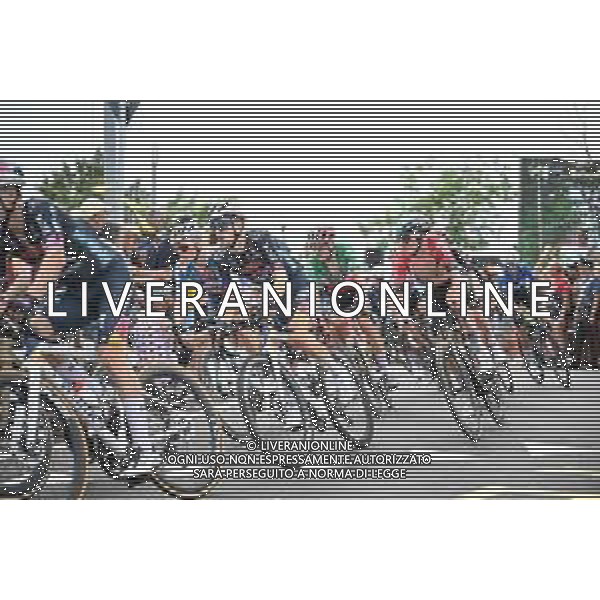 29-06-2024 Tour De France; Tappa 01 Firenze - Rimini; 2024, Red Bull - Bora - Hansgrohe; Hindley, Jai; Barbotto; ©SIROTTI / AGENZIA ALDO LIVERANI SAS