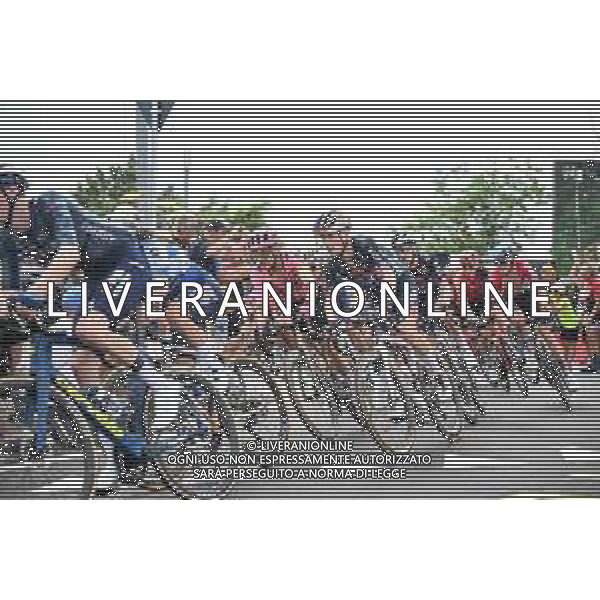 29-06-2024 Tour De France; Tappa 01 Firenze - Rimini; 2024, Red Bull - Bora - Hansgrohe; Roglic, Primoz; Barbotto; ©SIROTTI / AGENZIA ALDO LIVERANI SAS