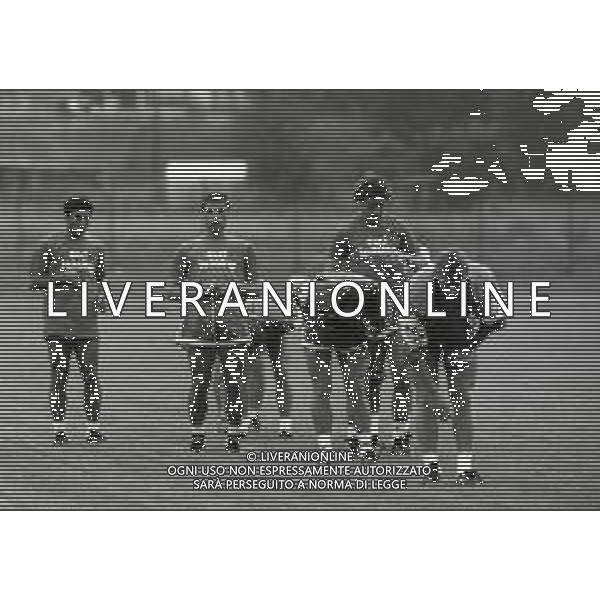 NEG- 1989 MEZZANO DI PRIMIERO RITIRO ESTIVO BARI CALCIO NELLA FOTO ALLENAMENTO BARI CALCIO AG ALDO LIVERANI SAS