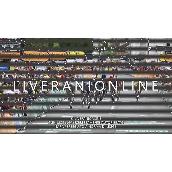 12-07-2024 Tour De France; Tappa 13 Agen - Pau; 2024, Alpecin - Deceuninck; 2024, Visma - Lease A Bike; Philipsen, Jasper; Van Aert, Wout; Pau; ©SIROTTI/ AGENZIA ALDO LIVERANI SAS