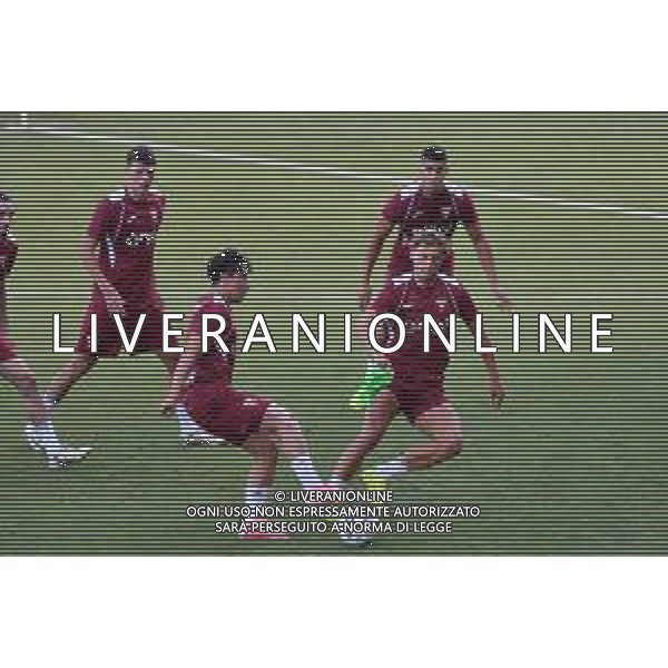 TVMV-Torino 13.07.2024 Stadio Filadelfia © Manuela Viganti/Agenzia Aldo Liverani Allenamento Torino Ritiro Estivo Stagione 2024/2025 Nella foto: mergim vojvoda e emirhan ilkhan