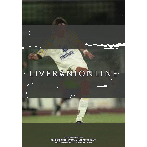 NEG- -VERONA 07-08-1997 PARTITA AMICHEVOLE VERONA-PARMA NELLA FOTO DINO BAGGIO AG ALDO LIVERANI SAS