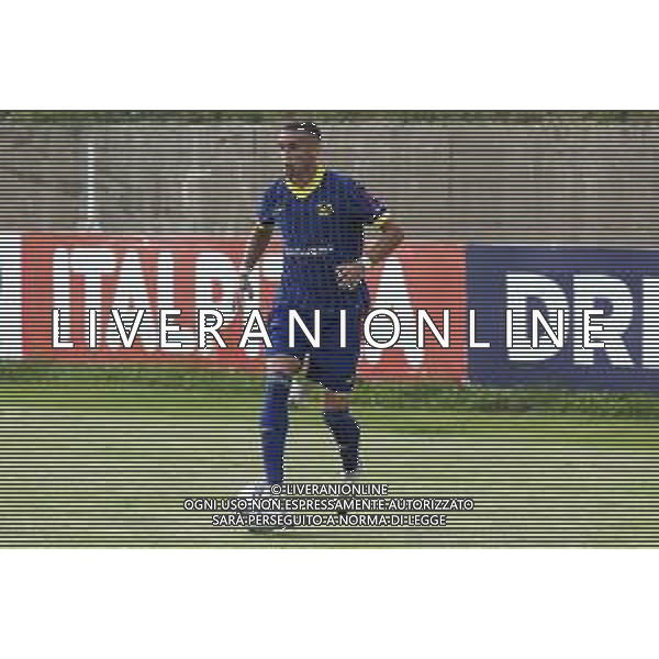 TVDC-Stefan Mitrovic of Hellas Verona during Hellas Verona FC vs FC Rovereto, 2° Test Match, at Centro Sportivo \'La Pineta\' on Folgaria (TN), on July 21, 2024. (Photo by Davide Casentini) AG ALDO LIVERANI SAS
