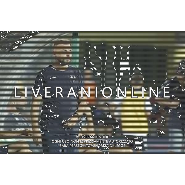 Paolo Zanetti Head Coach of Hellas Verona gestures during Hellas Verona FC vs Feralpisalò FC, 4° Test Match, at stadio "Quercia" in Rovereto (TN), on July 27, 2024. (Photo by Davide Casentini)/AGENZIA ALDO LIVERANI SAS