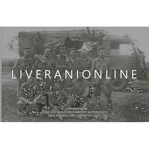ST-1941-1943 GUERRA DI RUSSIA ARCHHIVIO DFP-AG ALDO LIVERANI SAS