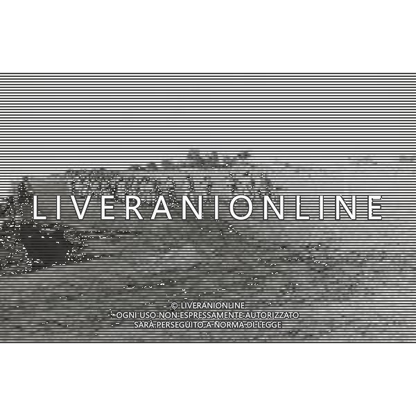 ST-1941-1943 GUERRA DI RUSSIA ARCHHIVIO DFP-AG ALDO LIVERANI SAS
