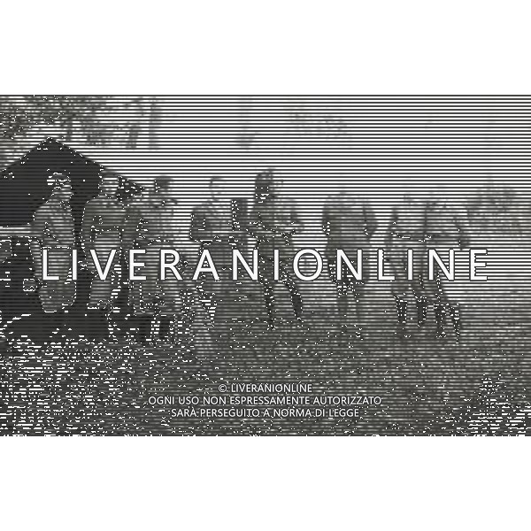ST-1941-1943 GUERRA DI RUSSIA ARCHHIVIO DFP-AG ALDO LIVERANI SAS