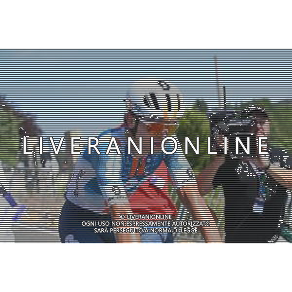 09-08-2024 Vuelta Burgos; Tappa 05 Frias - Trevino; 2024, Dsm - Firmenich Postnl; Bittner, Pavel; Trevino; ©SIROTTI/AGENZIA ALDO LIVERANI SAS