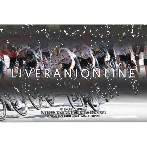 10-08-2024 Clasica San Sebastian; 2024, Uae Team Emirates; San Sebastian; ©SIROTTI/AGENZIA ALDO LIVERANI SAS