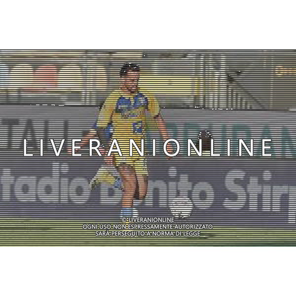 Frosinone vs Pisa - Coppa Italia - Trentaduesimi di finale - Stadio Benito Stirpe - Frosinone 12-08-2024 nella foto Francesco Gelli ©Federico Gaetano/ AGENZIA ALDO LIVERANI SAS
