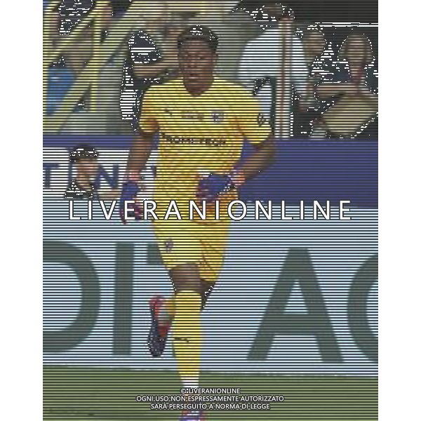 Zion Suzuki of Parma AC during Parma FC vs ACF Fiorentina, 1° Serie A Enilive 2024-25 game at Ennio Tardini Stadium in Parma (PR), Italy, on August 17, 2024. (Photo by Davide Casentini)/AGENZIA ALDO LIVERANI SAS