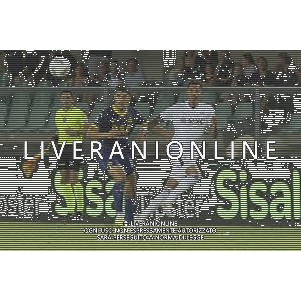 Casper Tengstedt of Hellas Verona FC competes for the ball with Walid Cheddira of SSC Napoli during Hellas Verona FC vs SSC Napoli, 1° Serie A EniLive 2024-25 game at Marcantonio Bentegodi Stadium in Verona (VR), Italy, on August 18, 2024. (Photo by Davide Casentini)/AGENZIA ALDO LIVERANI SAS