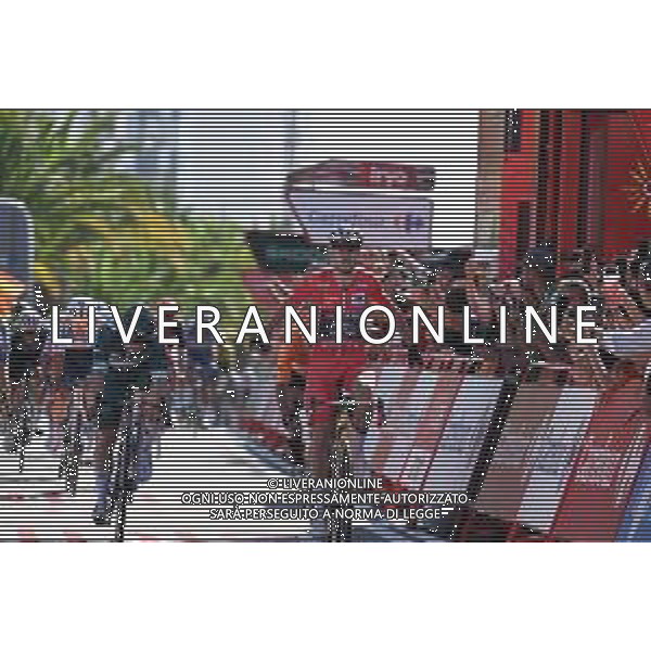 19-08-2024 Vuelta A Espana; Tappa 03 Lousa - Castelo Branco; 2024, Visma - Lease A Bike; 2024, Alpecin - Deceuninck; Van Aert, Wout; Groves, Kaden; Castelo Branco; ©SIROTTI/AGENZIA ALDO LIVERANI SAS