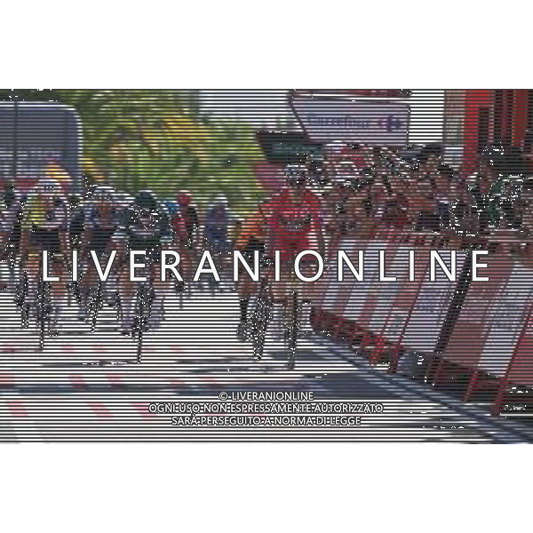 19-08-2024 Vuelta A Espana; Tappa 03 Lousa - Castelo Branco; 2024, Visma - Lease A Bike; 2024, Alpecin - Deceuninck; Van Aert, Wout; Groves, Kaden; Castelo Branco; ©SIROTTI/AGENZIA ALDO LIVERANI SAS