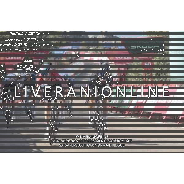 20-08-2024 Vuelta A Espana; Tappa 04 Plasencia - Pico Villuercas; 2024, Red Bull - Bora - Hansgrohe; 2024, Lotto - Dstny; Roglic, Primoz; Van Eetvelt, Lennert; Pico Villuercas; ©SIROTTI/AGENZIA ALDO LIVERANI SAS