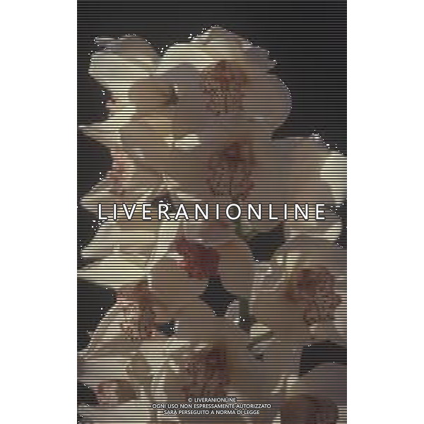 DIAP-ORCHIDEE AG ALDO LIVERANI SAS