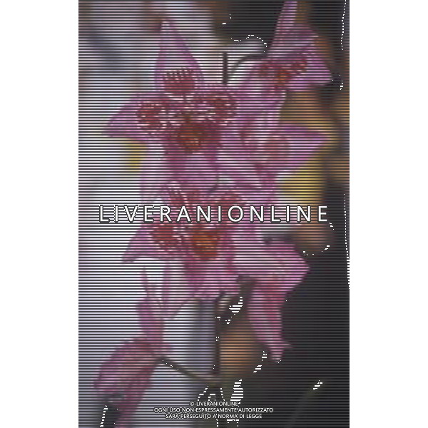 DIAP-ORCHIDEE AG ALDO LIVERANI SAS