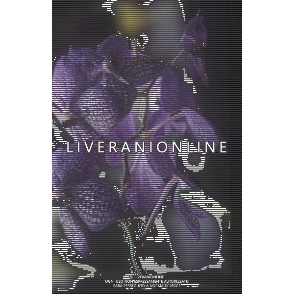 DIAP-ORCHIDEE AG ALDO LIVERANI SAS