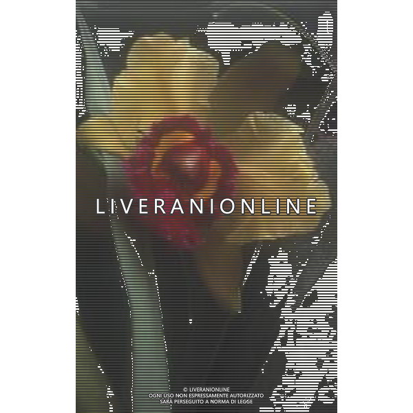DIAP-ORCHIDEE AG ALDO LIVERANI SAS