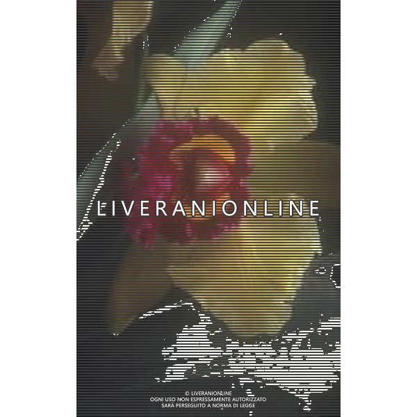 DIAP-ORCHIDEE AG ALDO LIVERANI SAS