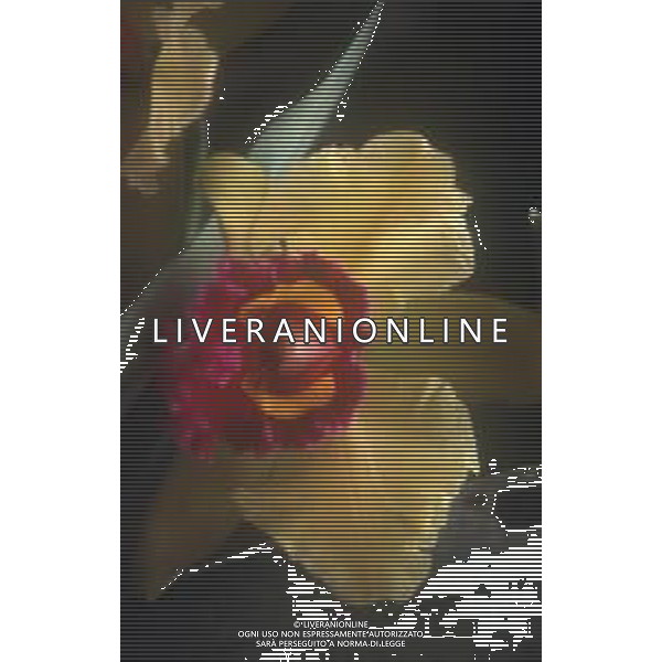 DIAP-ORCHIDEE AG ALDO LIVERANI SAS