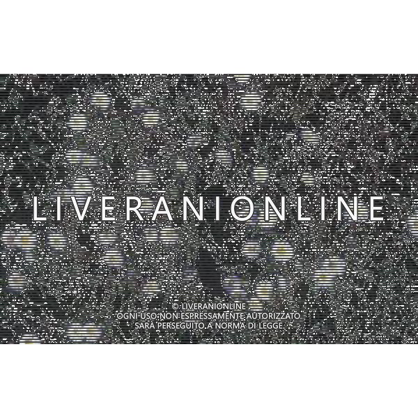 DIAP-FIORI-MARGHERITE AG ALDO LIVERANI SAS
