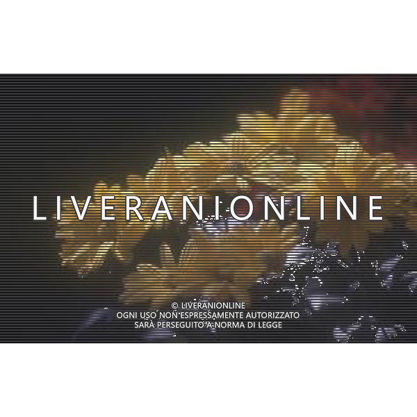 DIAP-FIORI-MARGHERITE AG ALDO LIVERANI SAS
