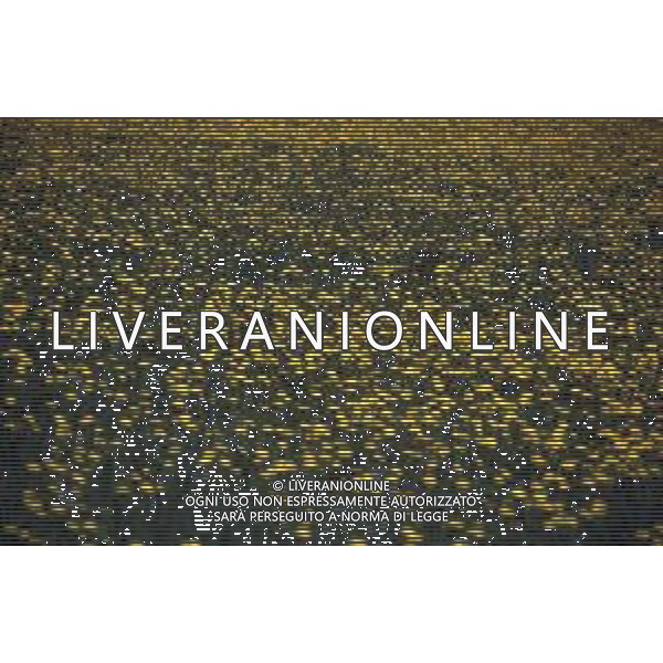 DIAP-FIORI-MARGHERITE AG ALDO LIVERANI SAS
