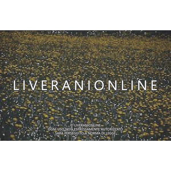 DIAP-FIORI-MARGHERITE AG ALDO LIVERANI SAS