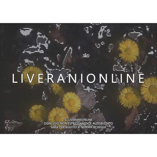 DIAP-FIORI-MARGHERITE AG ALDO LIVERANI SAS
