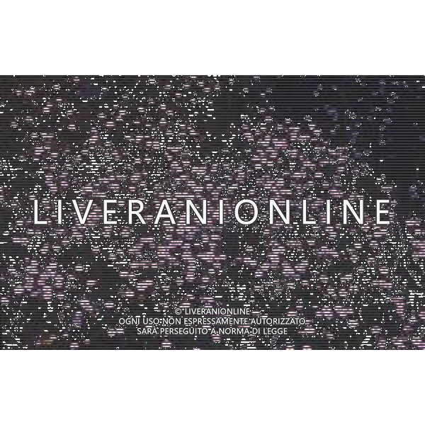 DIAP-FIORI-MARGHERITE AG ALDO LIVERANI SAS
