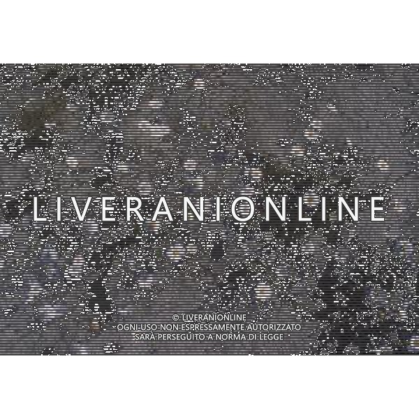 DIAP-FIORI-MARGHERITE AG ALDO LIVERANI SAS