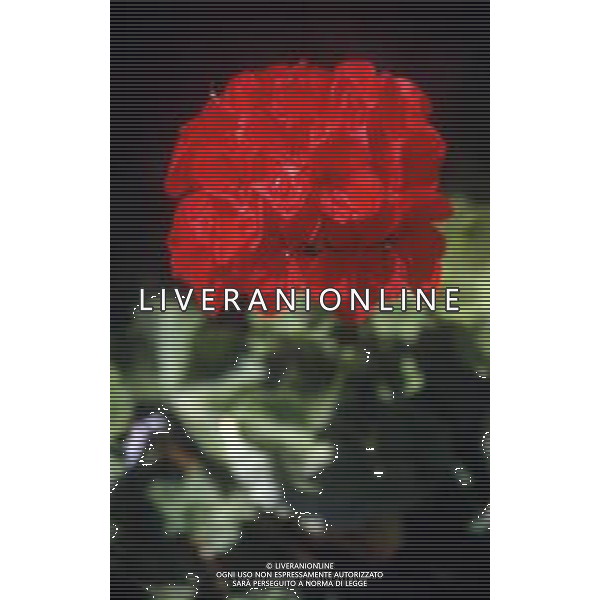 DIAP-FIORI -GERANI AG ALDO LIVERANI SAS
