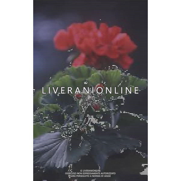 DIAP-FIORI -GERANI AG ALDO LIVERANI SAS
