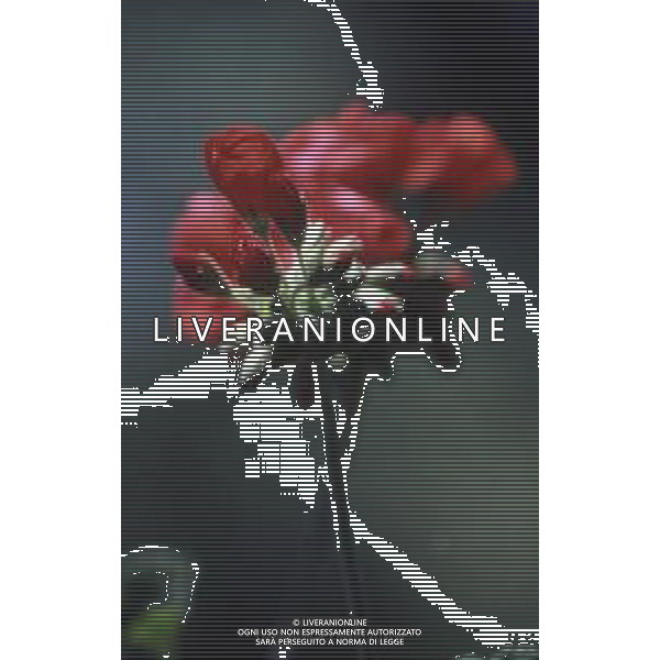 DIAP-FIORI -GERANI AG ALDO LIVERANI SAS