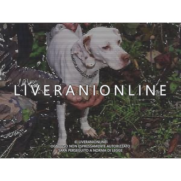 ST-CERCATORI DI TARTUFI BIANCHI NELLA FOTO CERCATORI DI TARTUFO CON CANE AG ALDO LIVERANI SAS