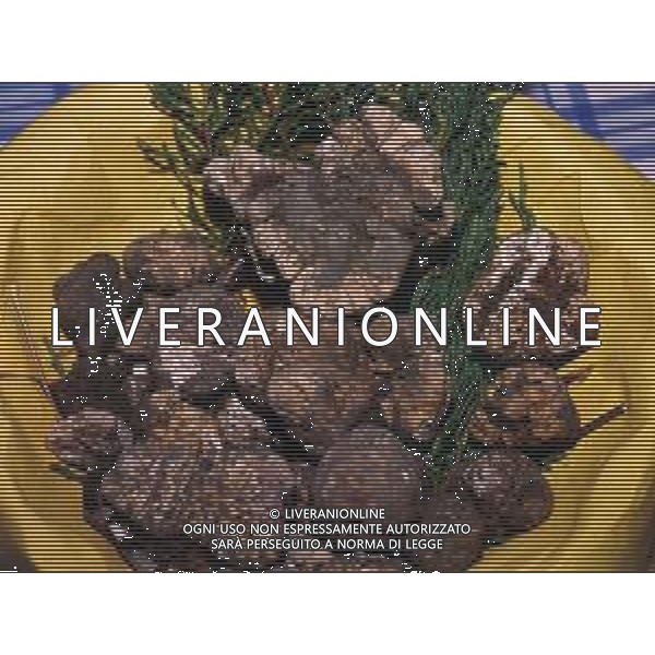 ST-CERCATORI DI TARTUFI BIANCHI NELLA FOTO TARTUFO BIANCO AG ALDO LIVERANI SAS